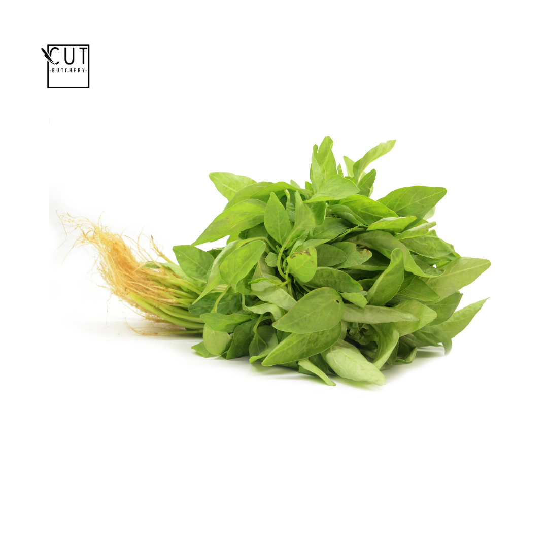 中国小菠菜