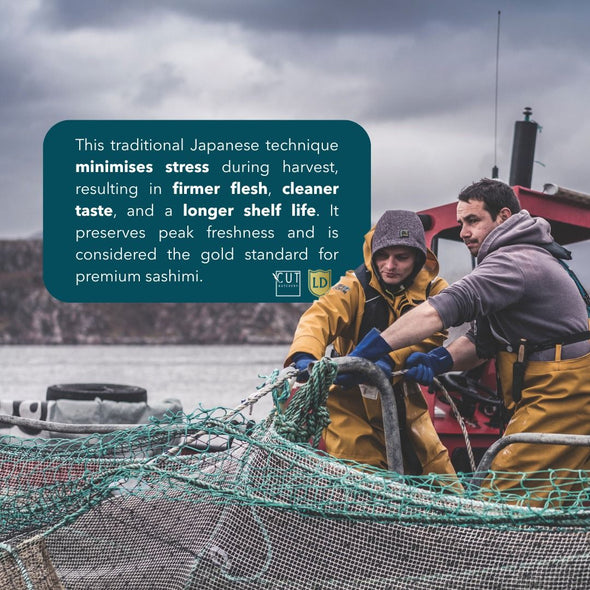 LOCH DUART SCOTTISH SALMON (IKEJIME QUALITY)
