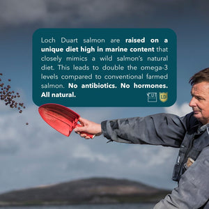 LOCH DUART SCOTTISH SALMON (IKEJIME QUALITY)