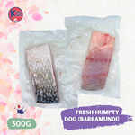 FRESH HUMPTY DOO (BARRAMUNDI)