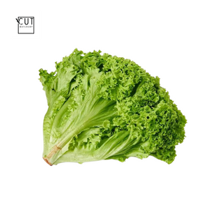 LETTUCE - LOLLO BIONDA 200-300G