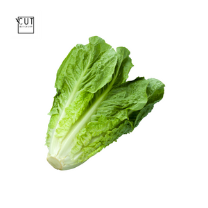 LETTUCE - ROMAINE 200-300G