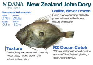 NEW ZEALAND WILD CAUGHT JOHN DORY FILLET