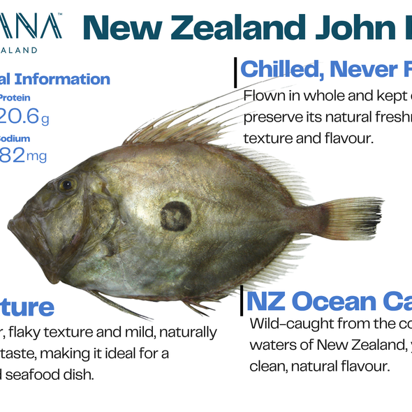 NEW ZEALAND WILD CAUGHT JOHN DORY FILLET