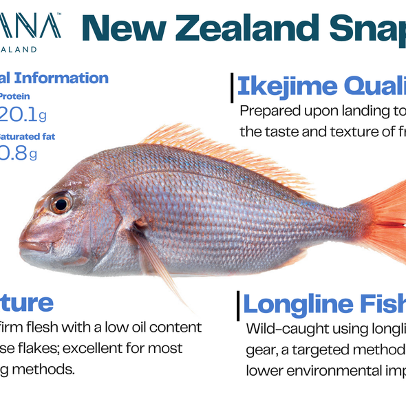 NEW ZEALAND WILD CAUGHT SNAPPER FILLET (IKEJIME QUALITY)
